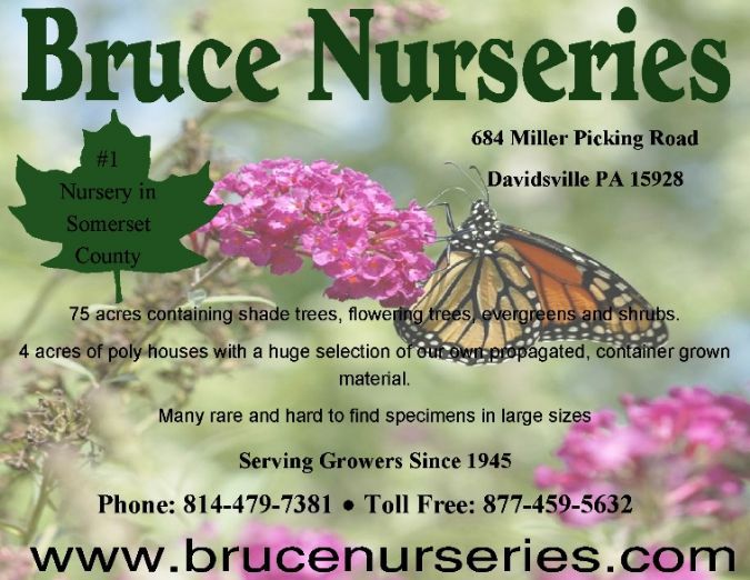 Bruce Nurseries